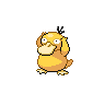 Psyduck placeholder